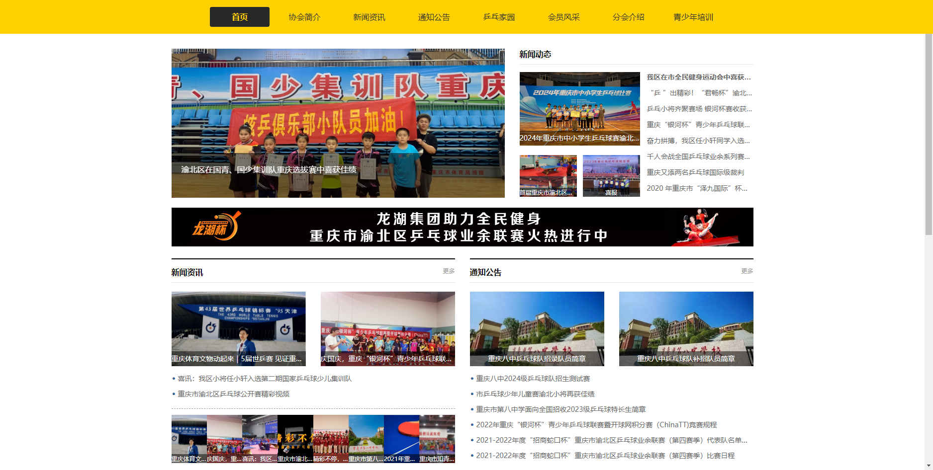 重慶市渝北區乒乓球協會-網站建設